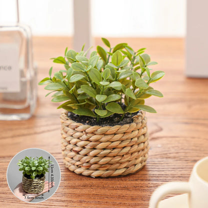 Flower Faux Eucalyptus Plant – Small Woven Pot