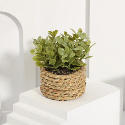 Flower Faux Eucalyptus Plant – Small Woven Pot